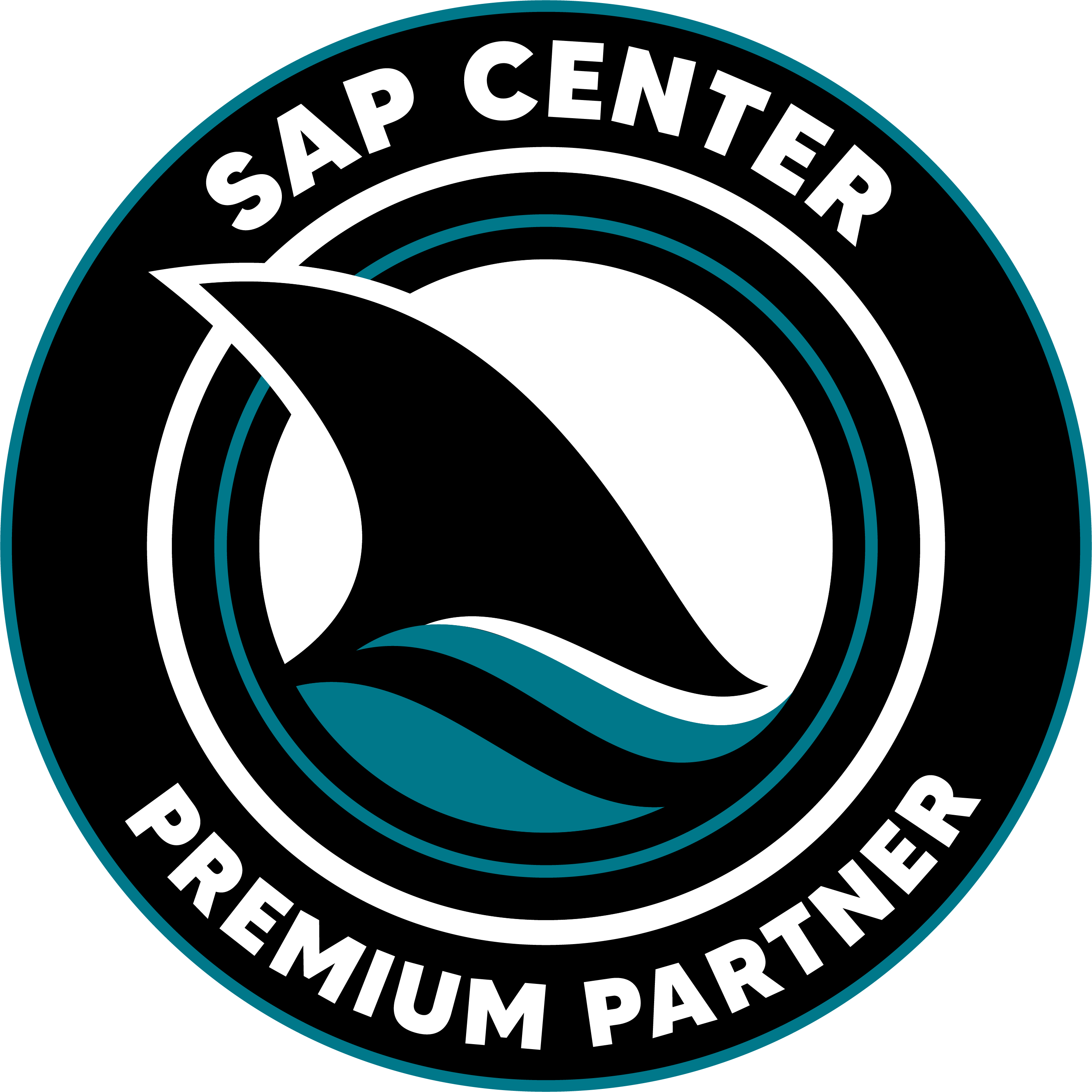 Sharks Pin